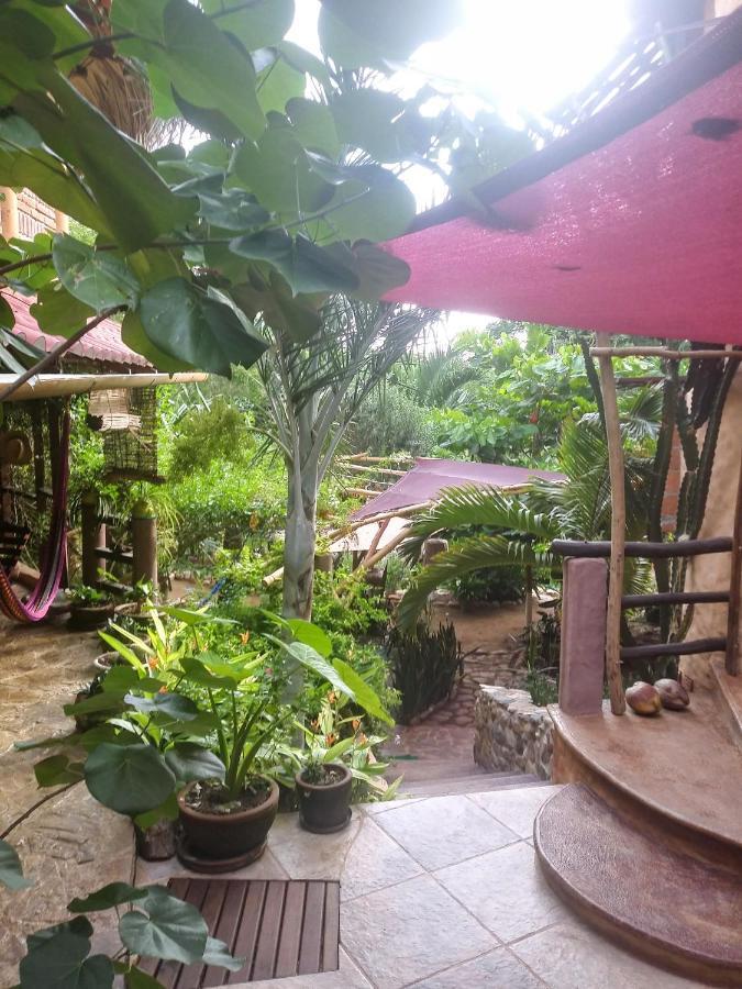 Posada Olivo Mazunte Ngoại thất bức ảnh