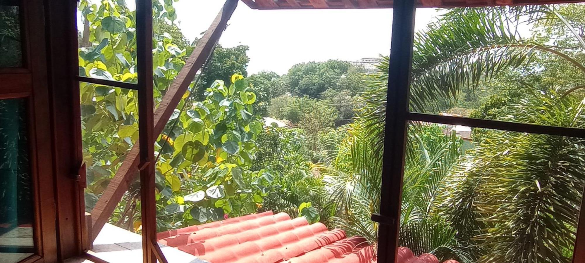 Posada Olivo Mazunte Ngoại thất bức ảnh